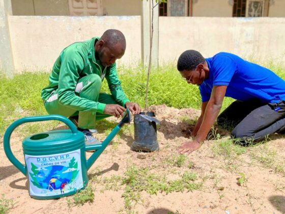 Reboisement à Keur Massar